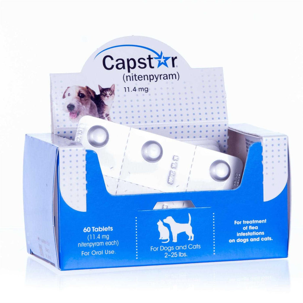 Flea Tablets for Dogs & Cats B173905