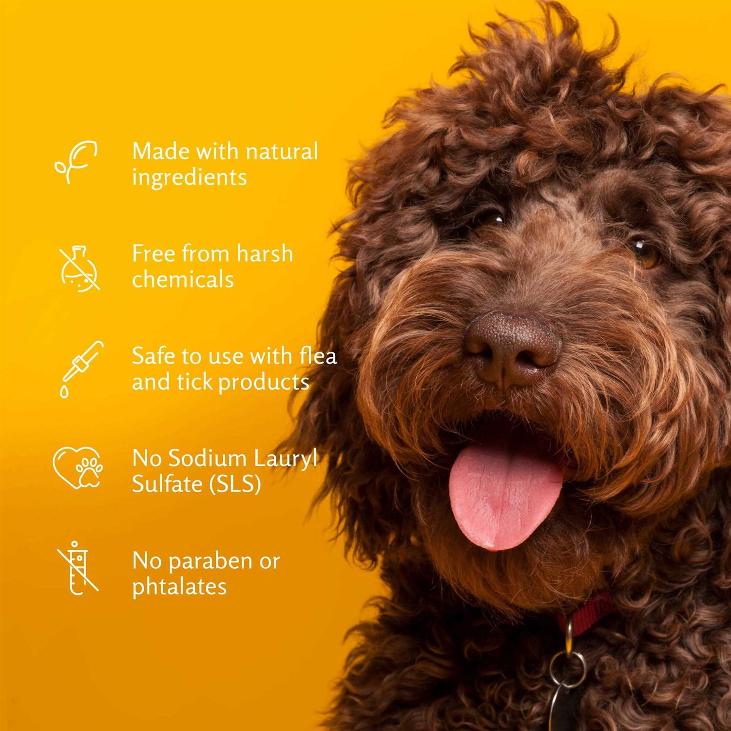 Deodorizing Pet Shampoo D716466