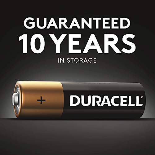 AA Alkaline Batteries, 24 Count O607291