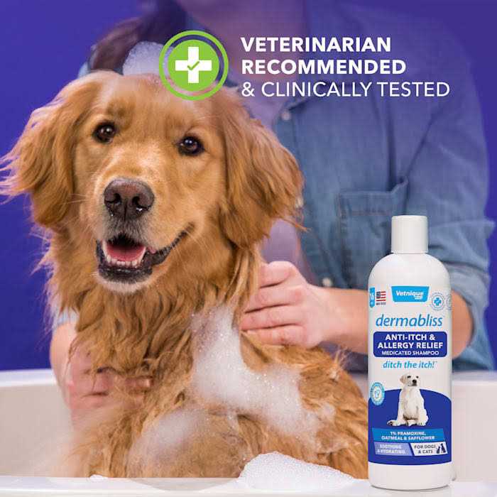 Medicated Anti-Itch & Allergy Relief Shampoo for Pets, 16oz O663040