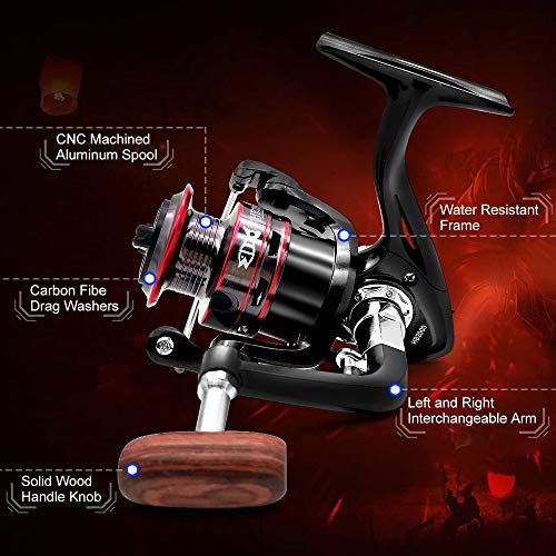 Ultralight Spinning Reel, 5.2:1 Gear Ratio, 12 Ball Bearings, Carbon Fiber Drag F879