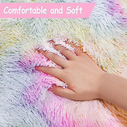 Fluffy Plush Area Rug 5x8 for Girls Bedroom H808