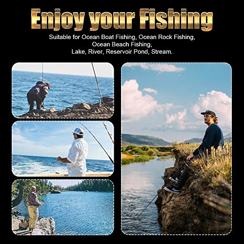 Ultralight Spinning Reel, 5.2:1 Gear Ratio, 12 Ball Bearings, Carbon Fiber Drag F879