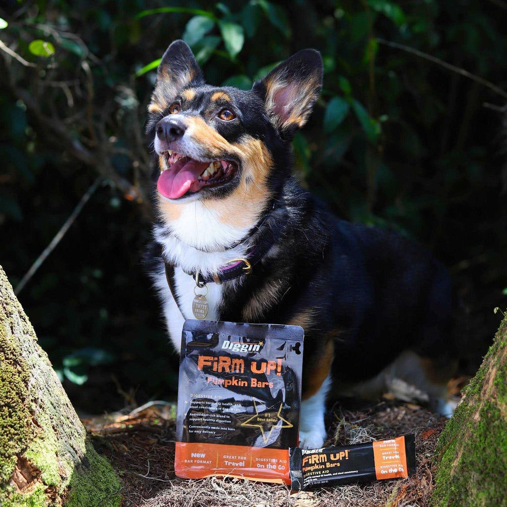 Firm Up! Super Supplement for Dogs Y312
