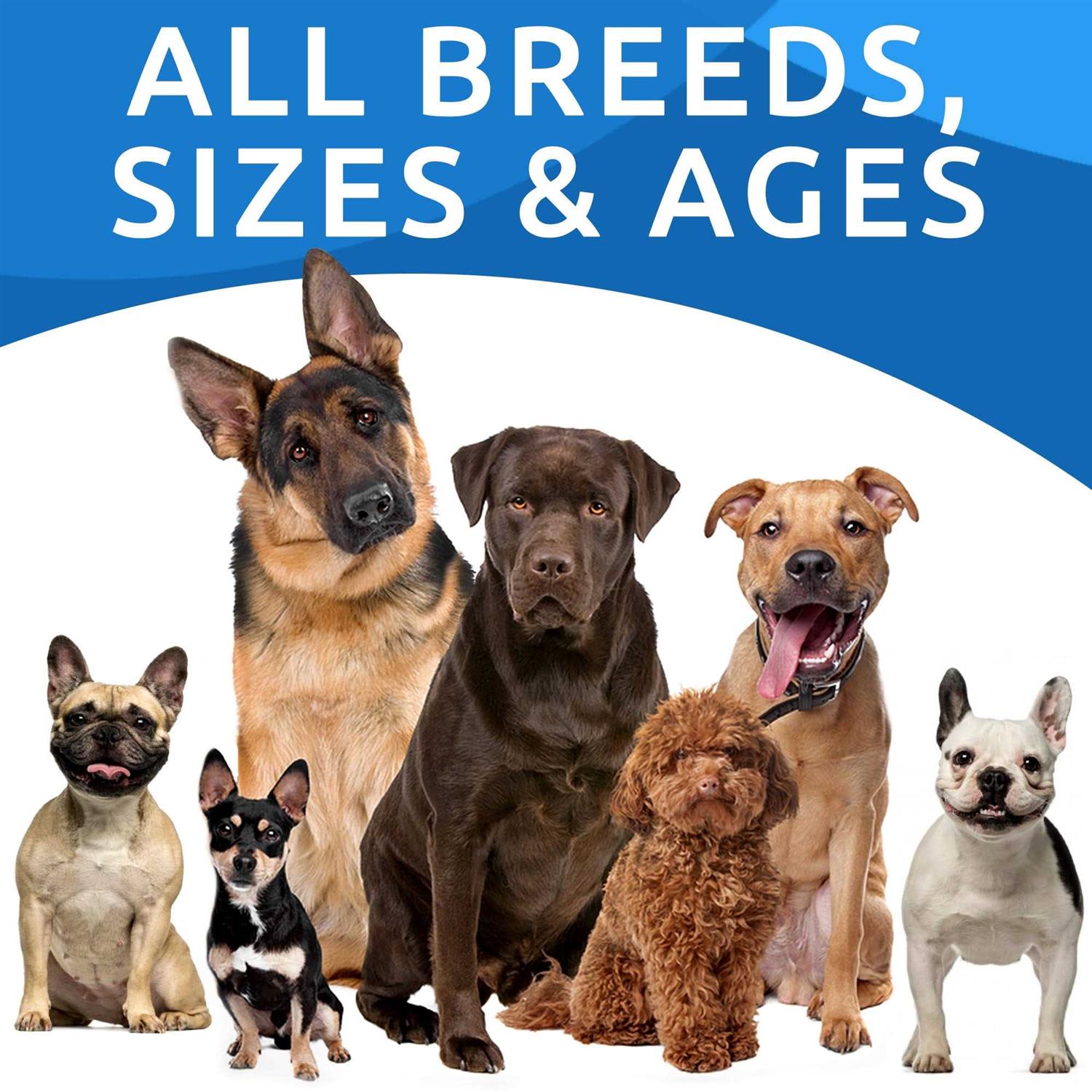 Allergy Relief Immune Chews for Itchy Skin S298