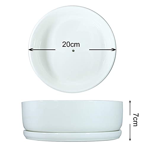 8 inch White Round Ceramic Succulent Planter Pot with Removable Saucer Q8442