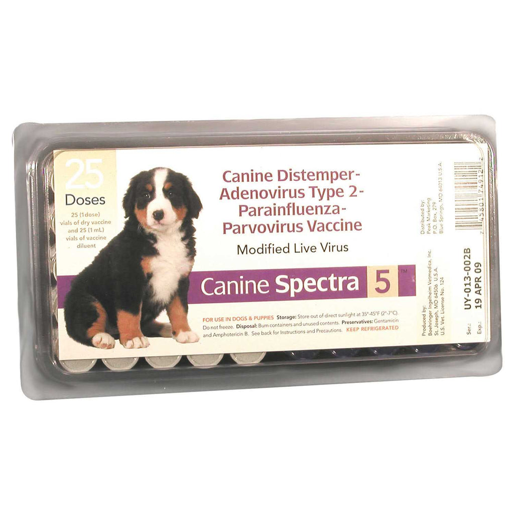 Dog Vaccine C611