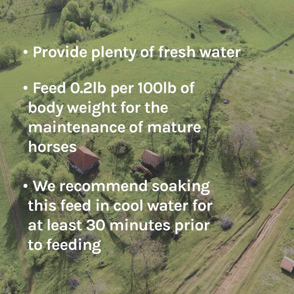 Low Starch Horse Feed for Metabolic Disorders, Corn-Free and Soy-Free, 16% Protein, 40 lbs N92031