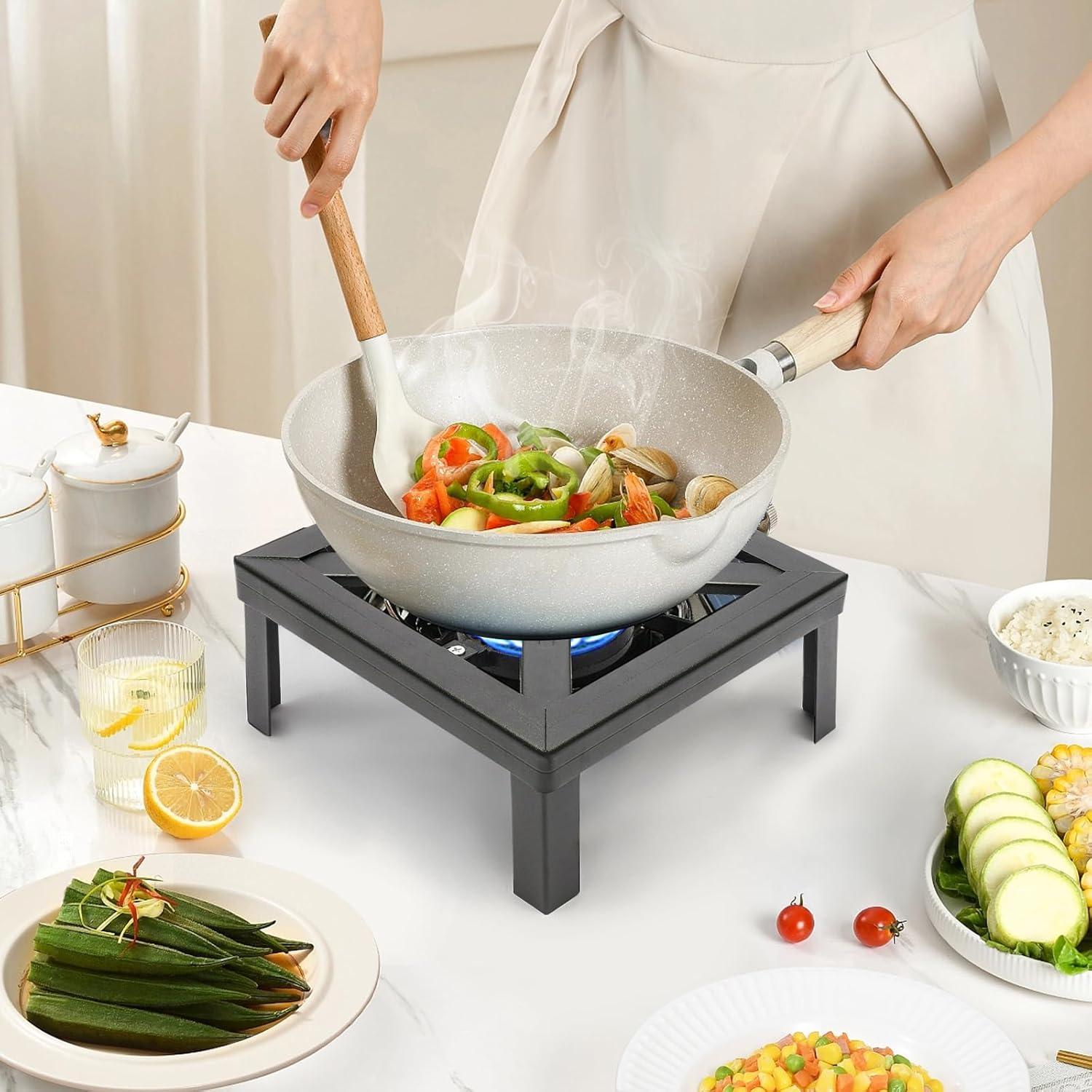 Portable Single Burner Propane Gas Stove with Adjustable Regulator for Camping and BBQ Z5752
