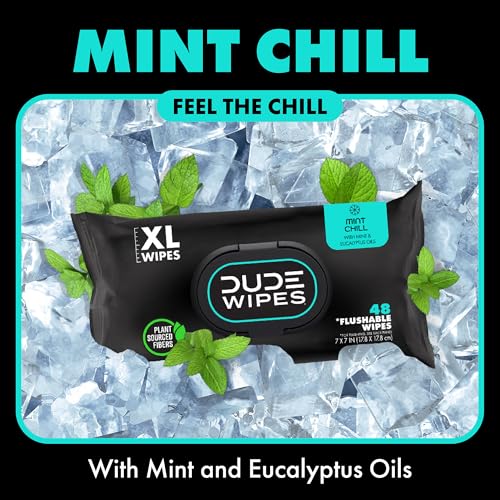 Flushable Wipes, 48 Count, Mint Chill Extra-Large, Eucalyptus & Tea Tree Oil, Septic Safe G343854