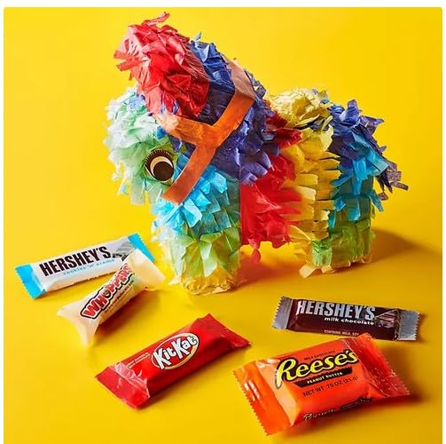 Assorted Chocolate Candy Variety Pack - 1 Pound Z254348