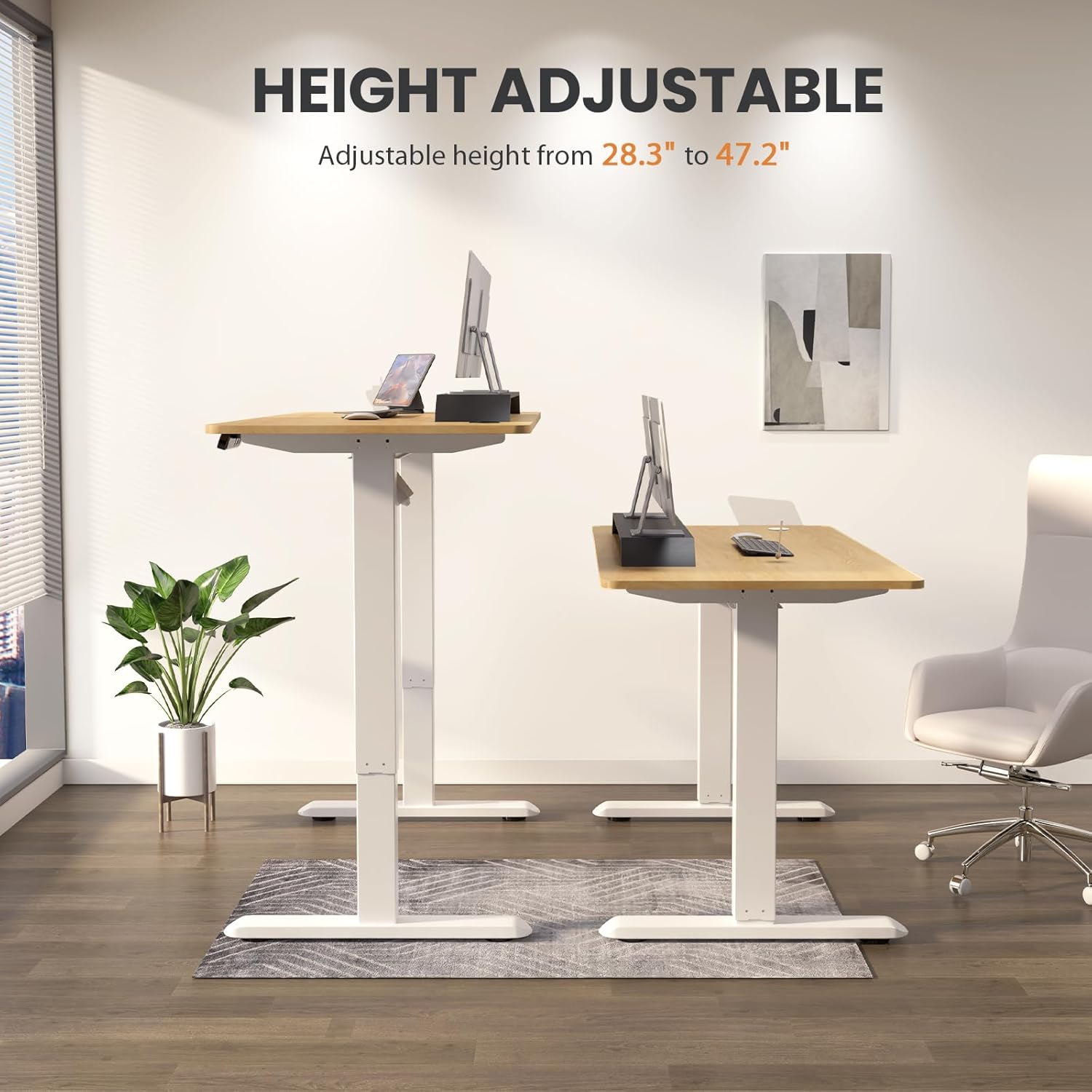Adjustable Height Standing Desk 48 x 24 Inch Maple F197