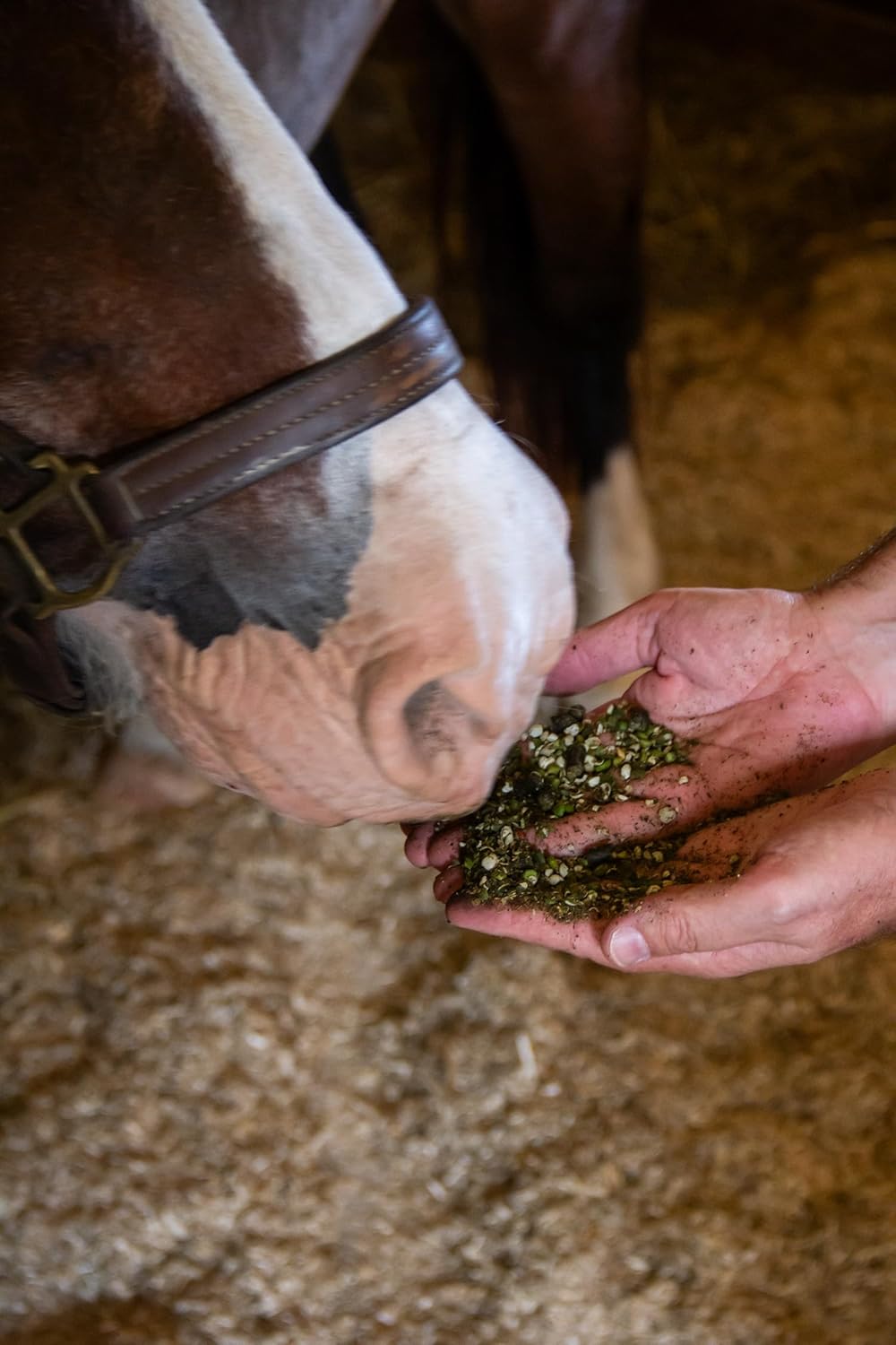 Low Starch Horse Feed for Metabolic Disorders, Corn-Free and Soy-Free, 16% Protein, 40 lbs N92031