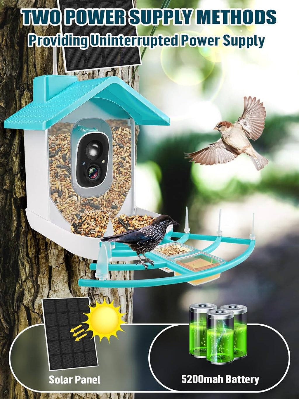 Smart Bird Feeder with Camera, Solar Powered Dual Charge, 1080P HD Video G11942