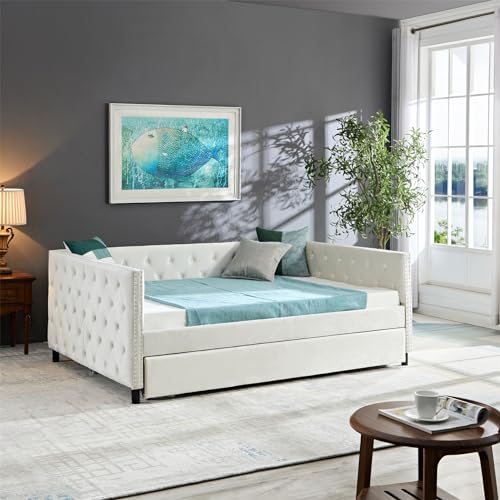 Velvet Upholstered Twin Daybed with Trundle, Beige Y9221