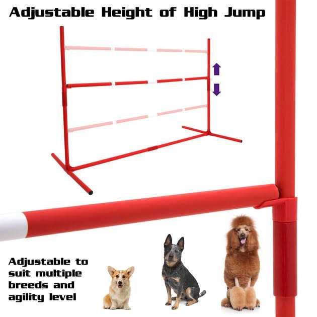 Dog Agility Training Kit 6 Piece E4133