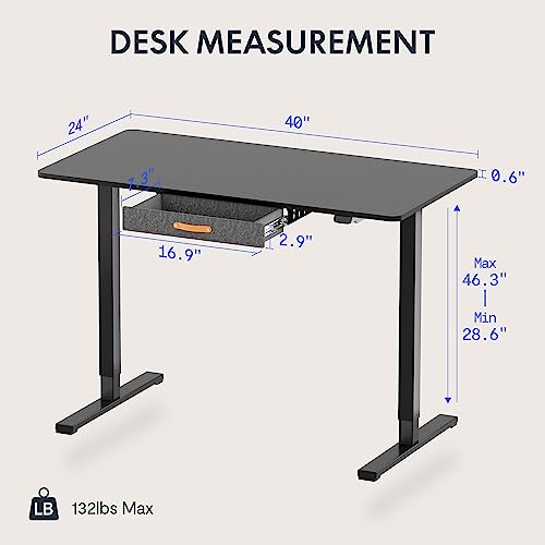 Standing Desk with Drawer Electric Sit Stand Desk, 48 x 24 Inches Desktop, Adjustable Height Q557747