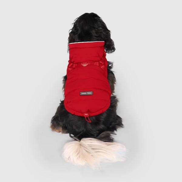 Puffer Harness for Dogs - Black N461046