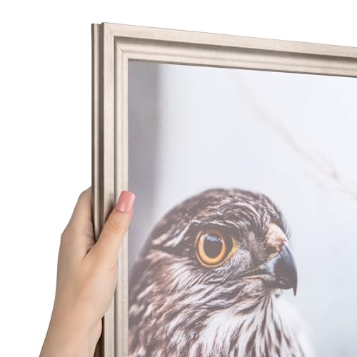 ArtToFrames 9x12 inch Muted Prosecco Gold Picture Frame, WOMBW275-1622-9x12
