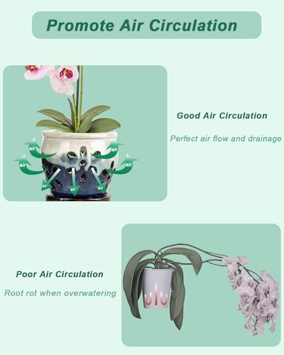 5 Inch Ceramic Orchid Pots with Saucers, Olive Green U487