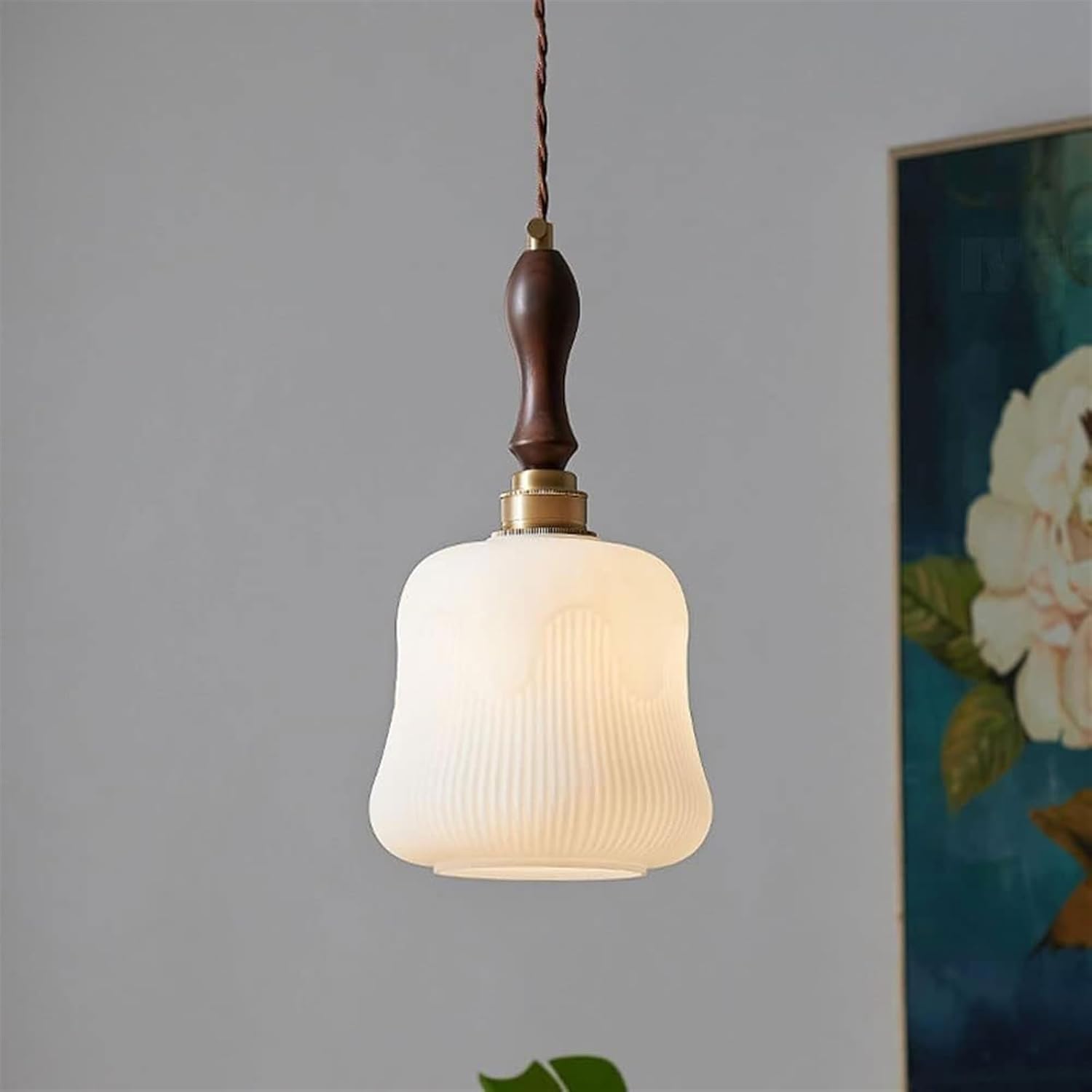 Hanging Light Fixture with Glass Shade, Brass Body, Adjustable Rope M912