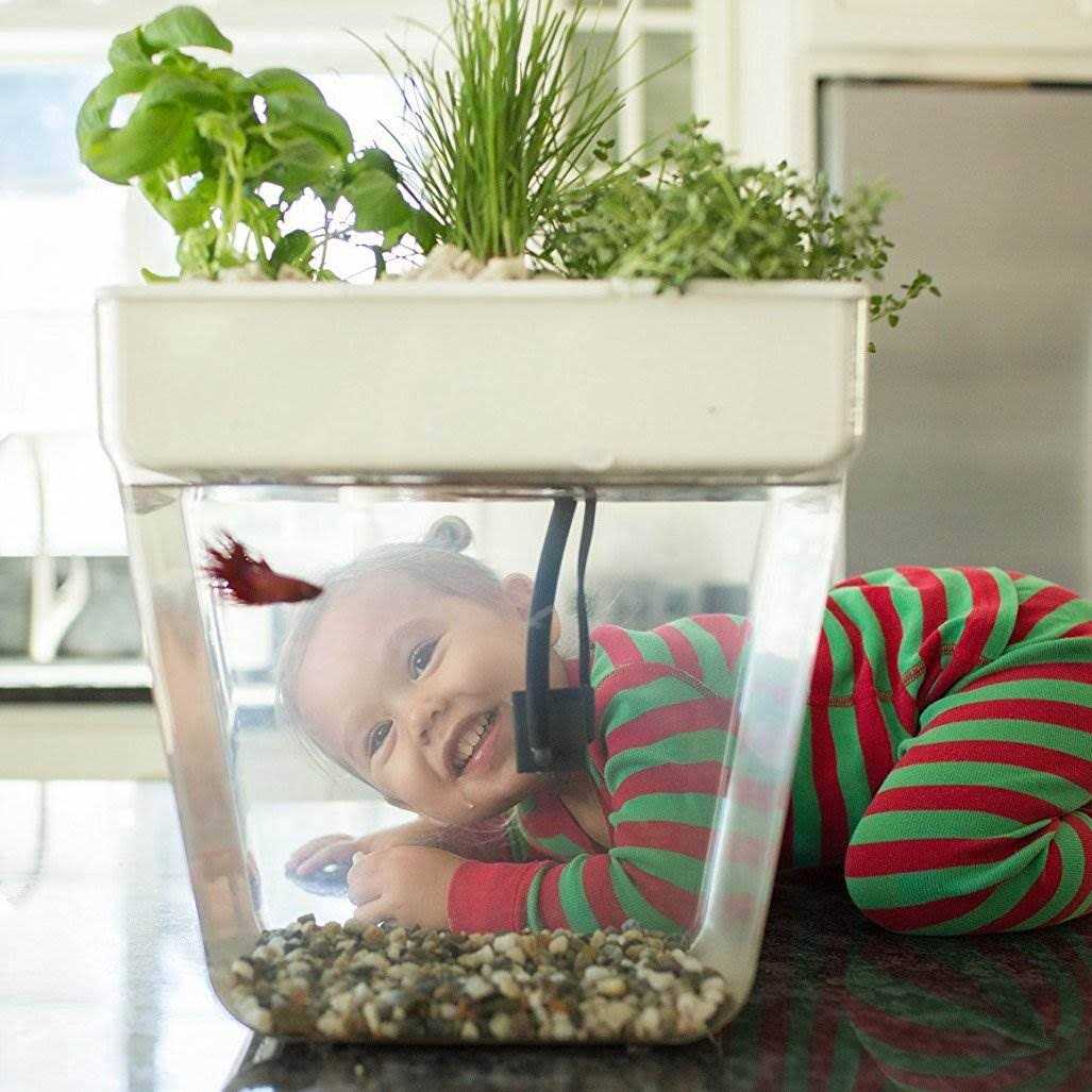 Water Garden D372