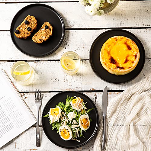 Ceramic Dinner Plates Set of 6, 10 Inch Matte Stoneware, Microwave and Dishwasher Safe L308327