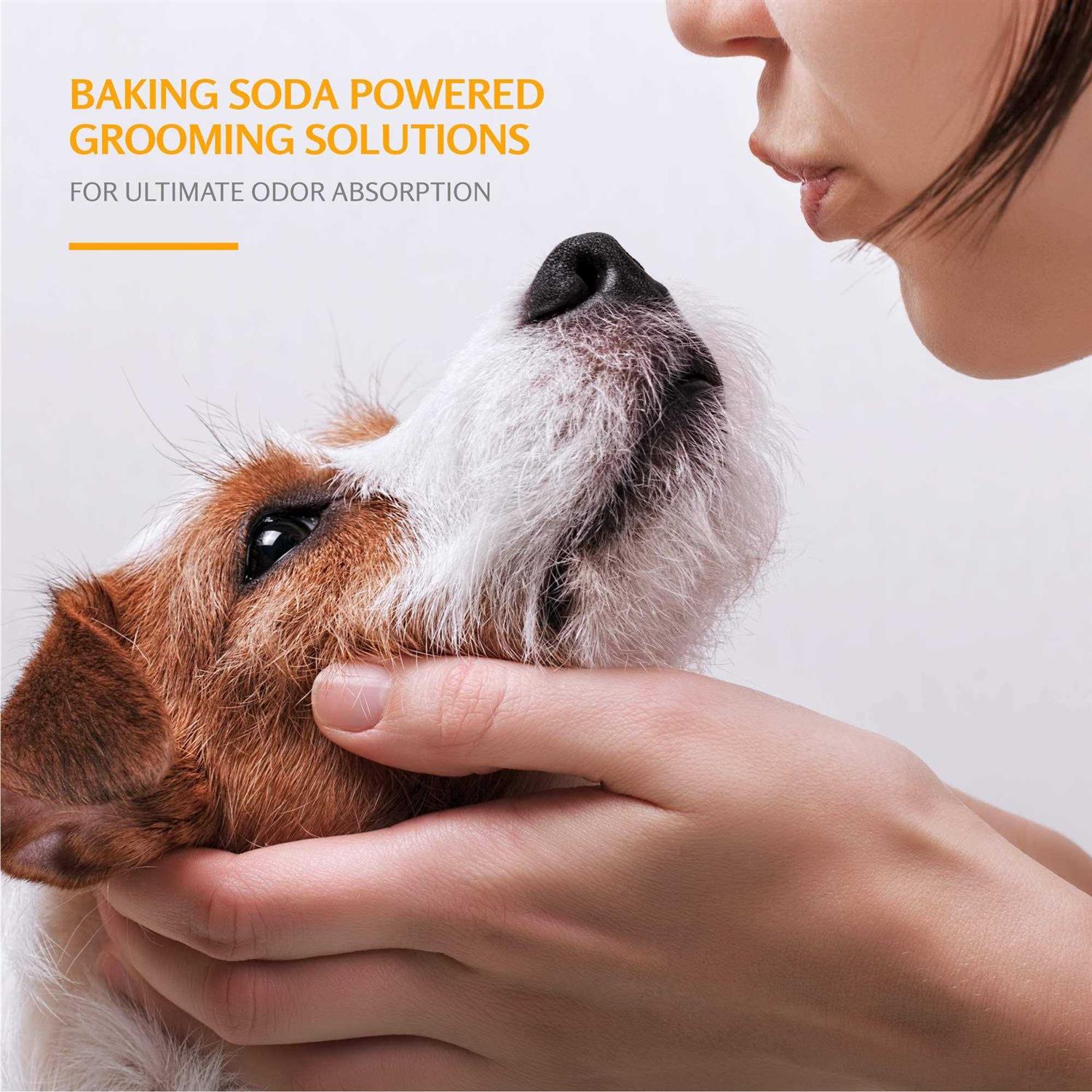 Super Deodorizing Dog Shampoo for Odor Control K670