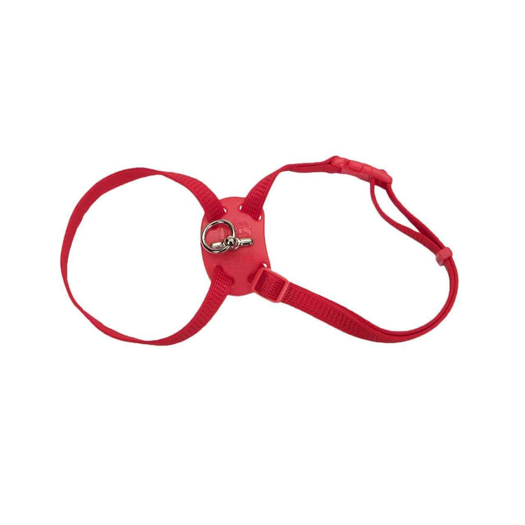 Coastal Pet Size Right Adjustable Cat Harness - Pet Supplies online store