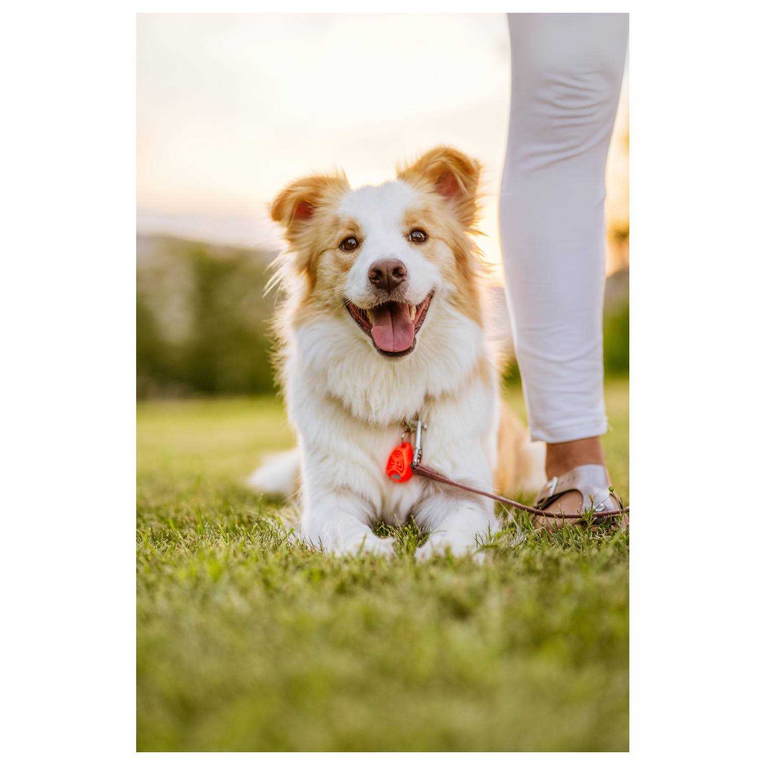 Ultrasonic Tick and Flea Repeller for Pets Q4958