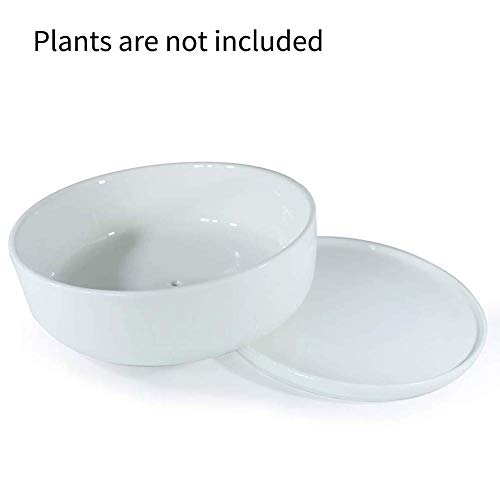 8 inch White Round Ceramic Succulent Planter Pot with Removable Saucer Q8442