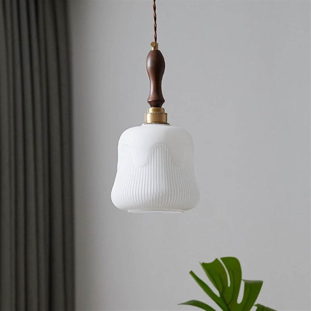 Hanging Light Fixture with Glass Shade, Brass Body, Adjustable Rope M912