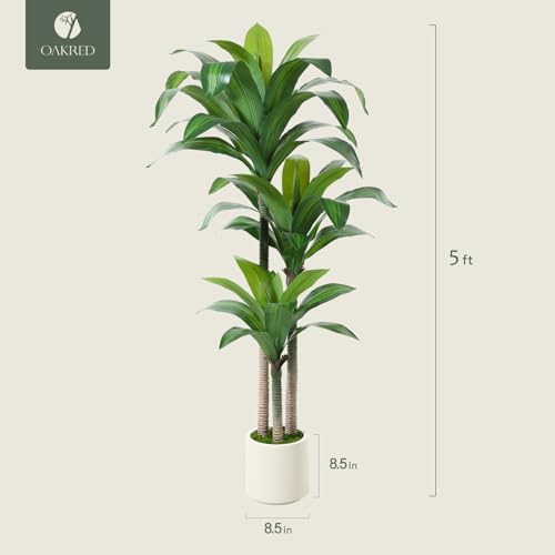 Artificial Dracaena Tree 5ft with White Planter, Indoor Floor Plant X899