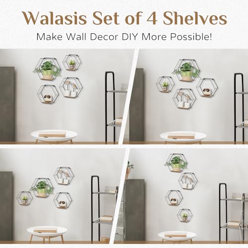 Hexagon Shelves Black Metal Wall Mount Set of 4 C784