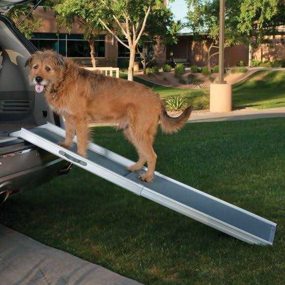 Telescoping Pet Ramp in Grey G406415