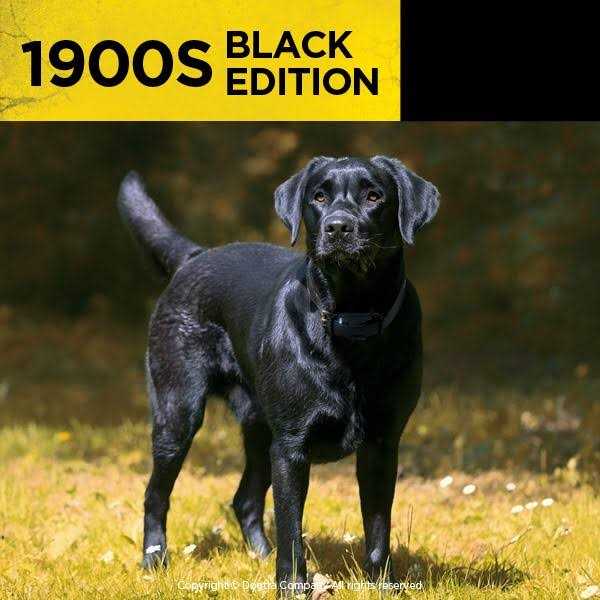 Remote Trainer for Dogs, 1 Mile Range H432810