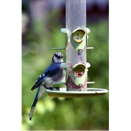 Wild Bird Food B209