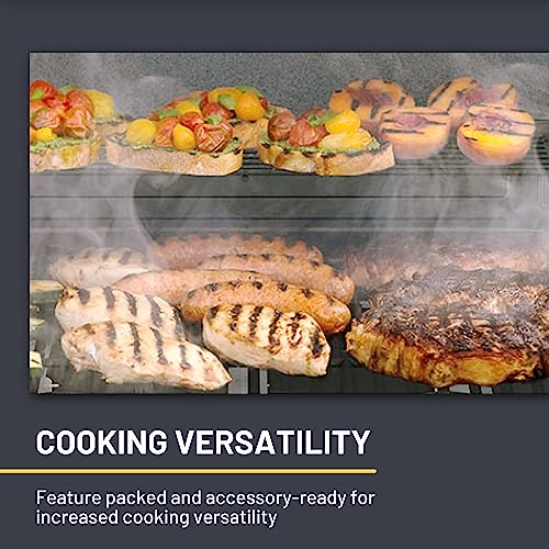 2-Burner Cabinet Propane Gas Grill with Convective Heating I866305