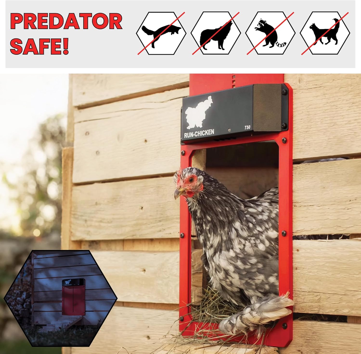 Chicken Door T50 Red V7438
