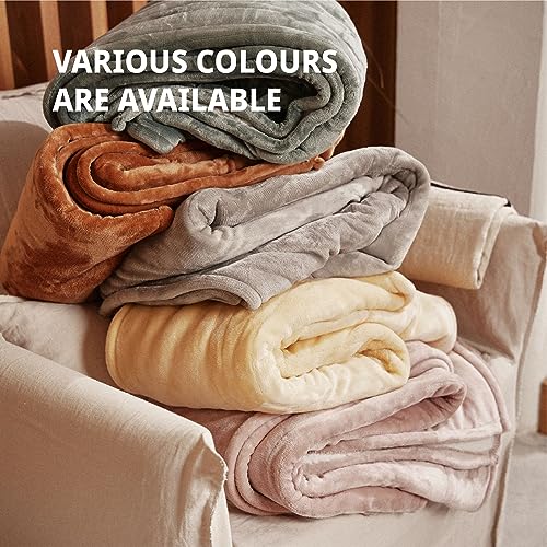 Heated Blanket Electric Throw 50x60, Soft Plush with 4 Heating Levels P883523