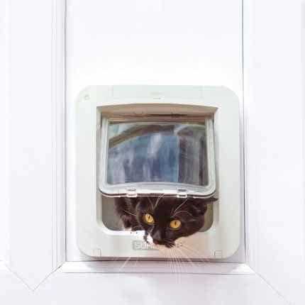 Microchip Pet Door Connect Without Hub J756
