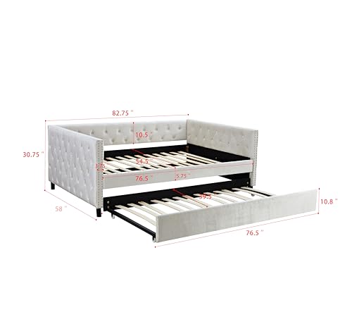 Velvet Upholstered Twin Daybed with Trundle, Beige Y9221