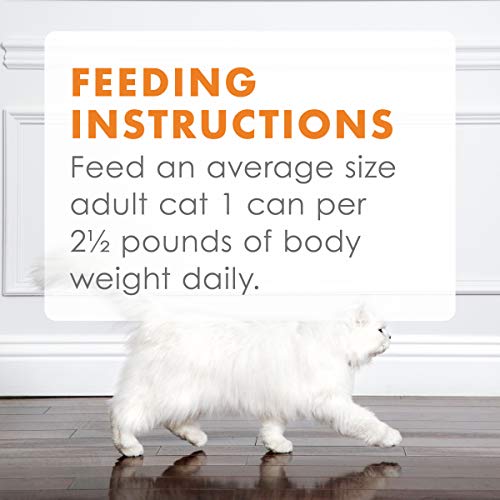 Wet Cat Food Variety Pack, Poultry & Beef Collection - 45 Cans, 3 oz. X307